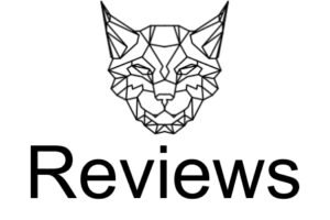 Linx Vapor Review